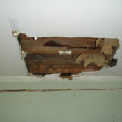Ceiling Water Damage Repair Cost
