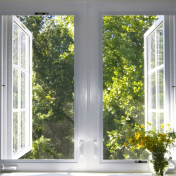 Marvin Window Reviews